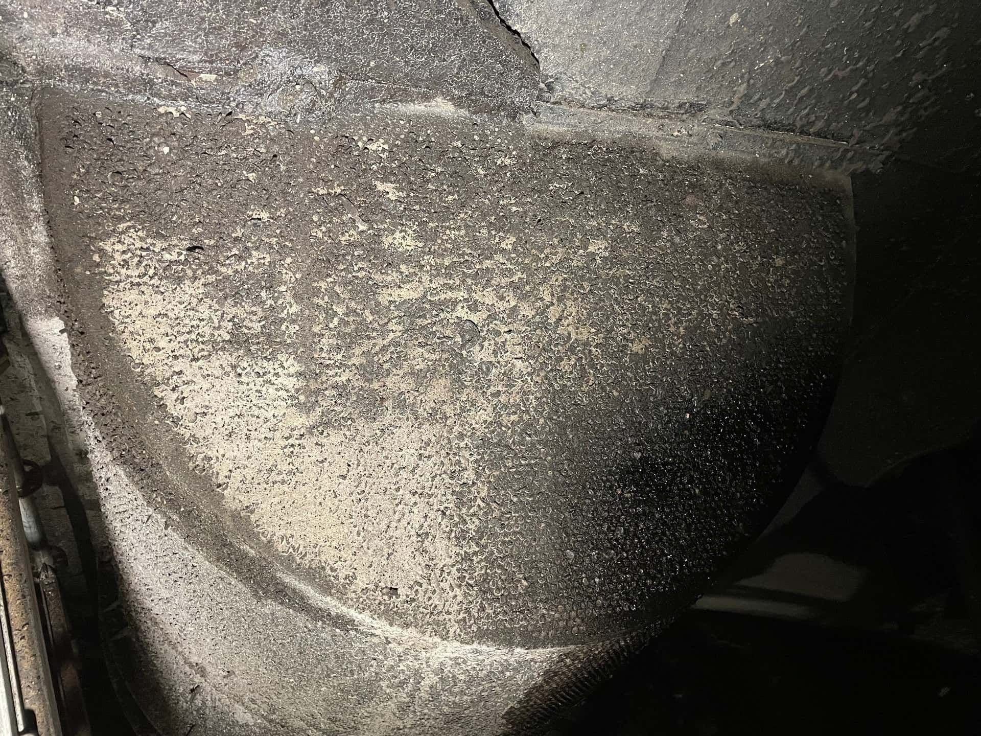 szuro-mosas-elotte-1