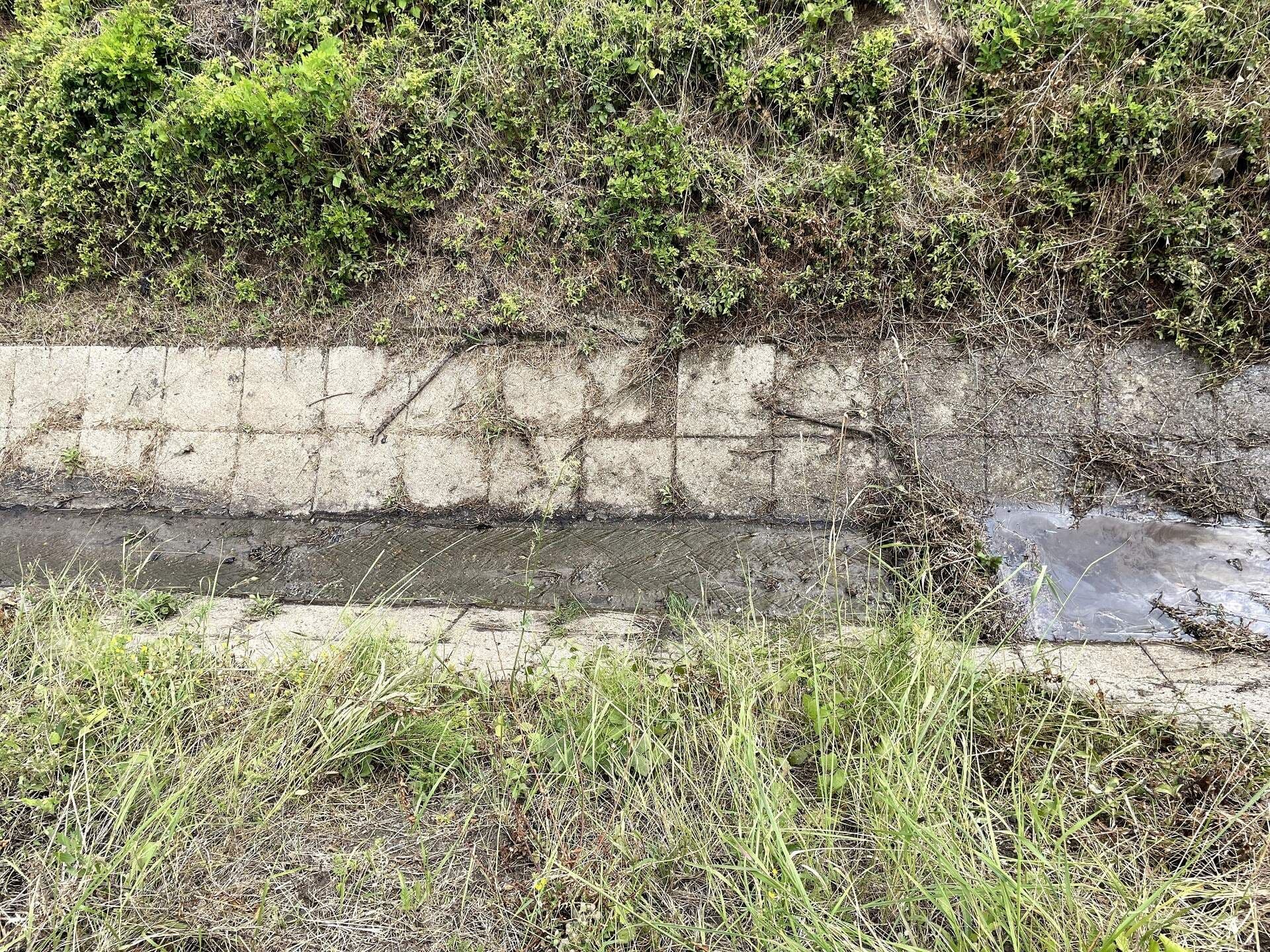 Arok-takaritas-forro-vizzel-elotte